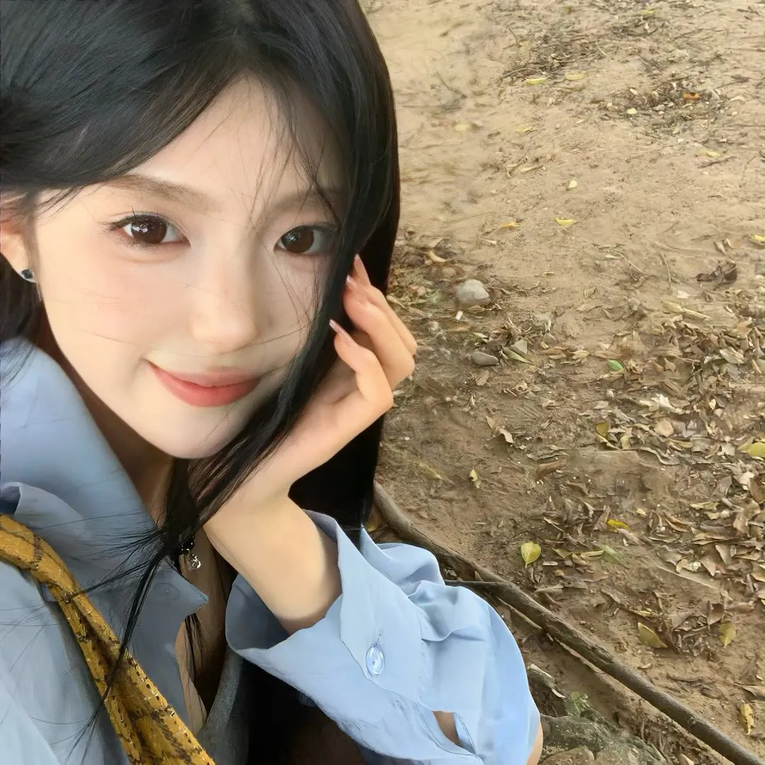 完美伴侣2025